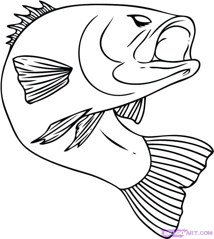 Brook Trout Coloring Page Coloring Pages Disney Easy 736x823 Brook Trout Coloring Page Coloring Pages Disney Easy