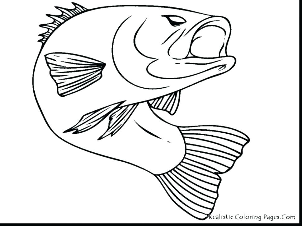 Trout Coloring Page Impair.co 970x727 Trout Coloring Page Impair.co
