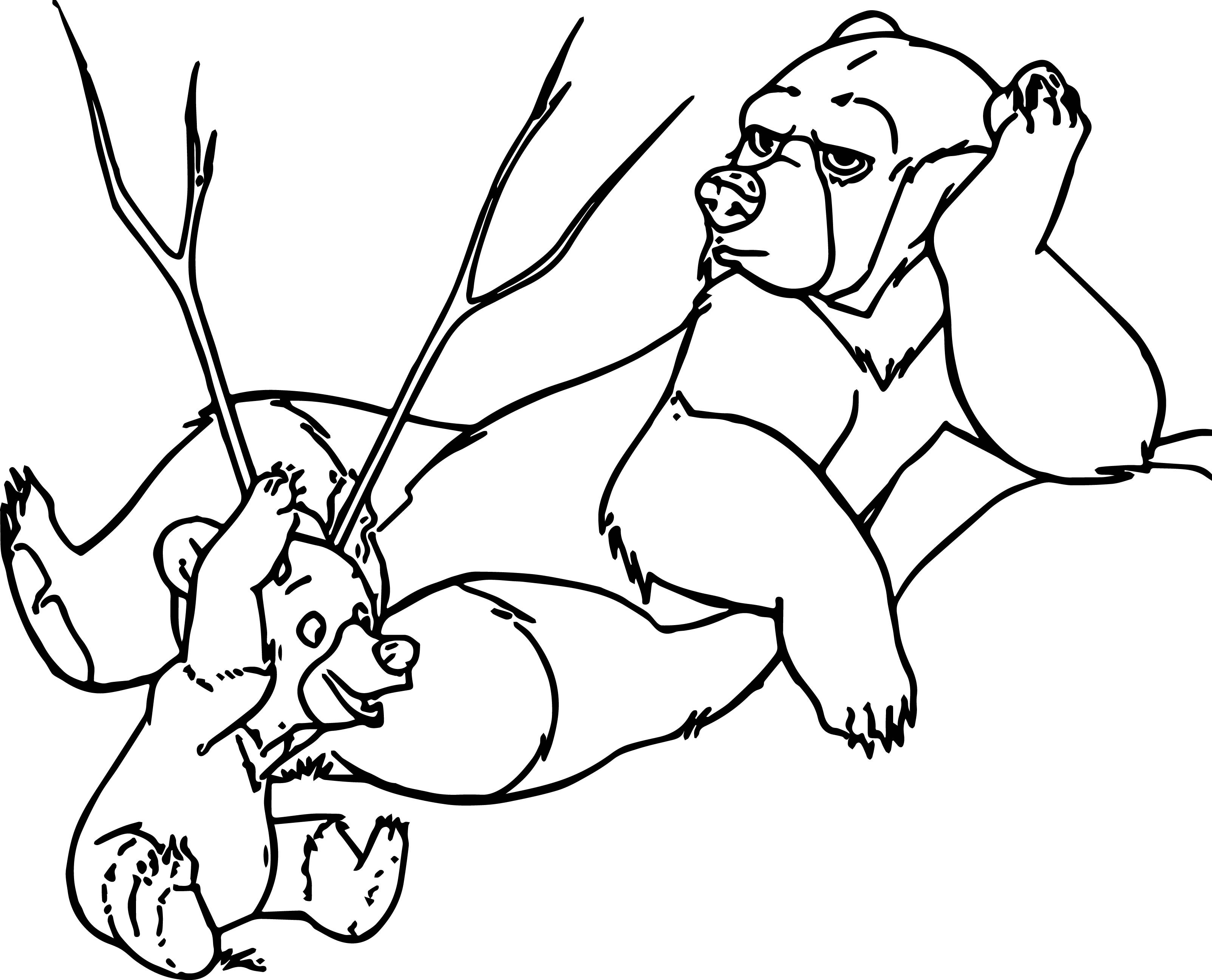 3208x2593 Brother Bear Coloring Pages For Kids Beautiful Disney Brother Bear