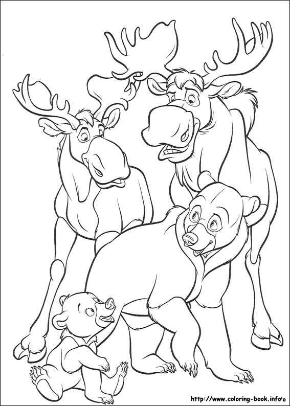 567x794 Brother Bear Coloring Picture