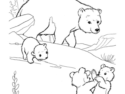 440x330 Brown Bear Brown Bear What Do You See Coloring Pages, Brown Bear