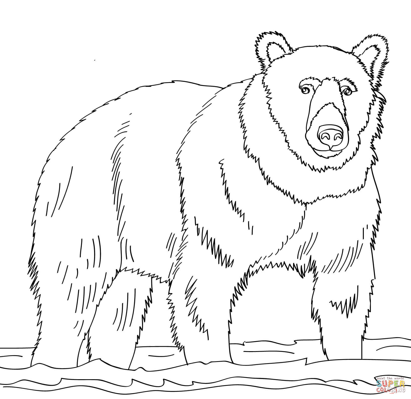 1638x1593 Brown Bear Coloring Pages Bears Free Inside