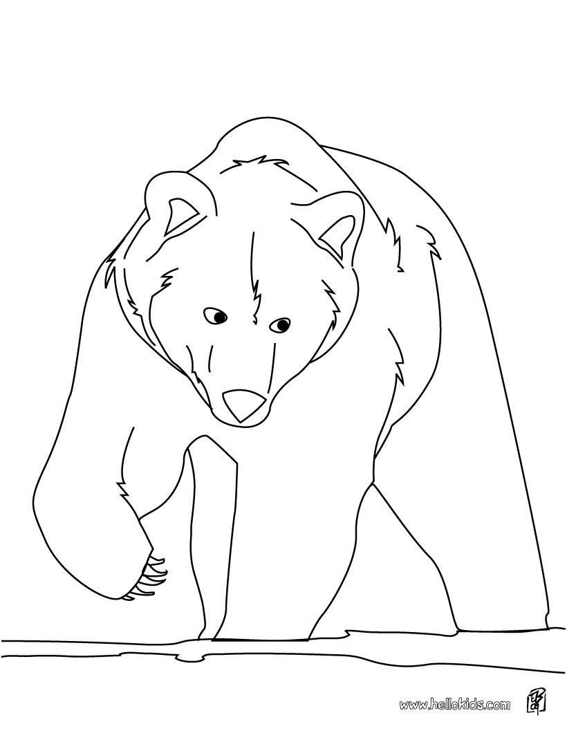 820x1060 Brown Bear Coloring Page. More Forest Animals Coloring Sheets