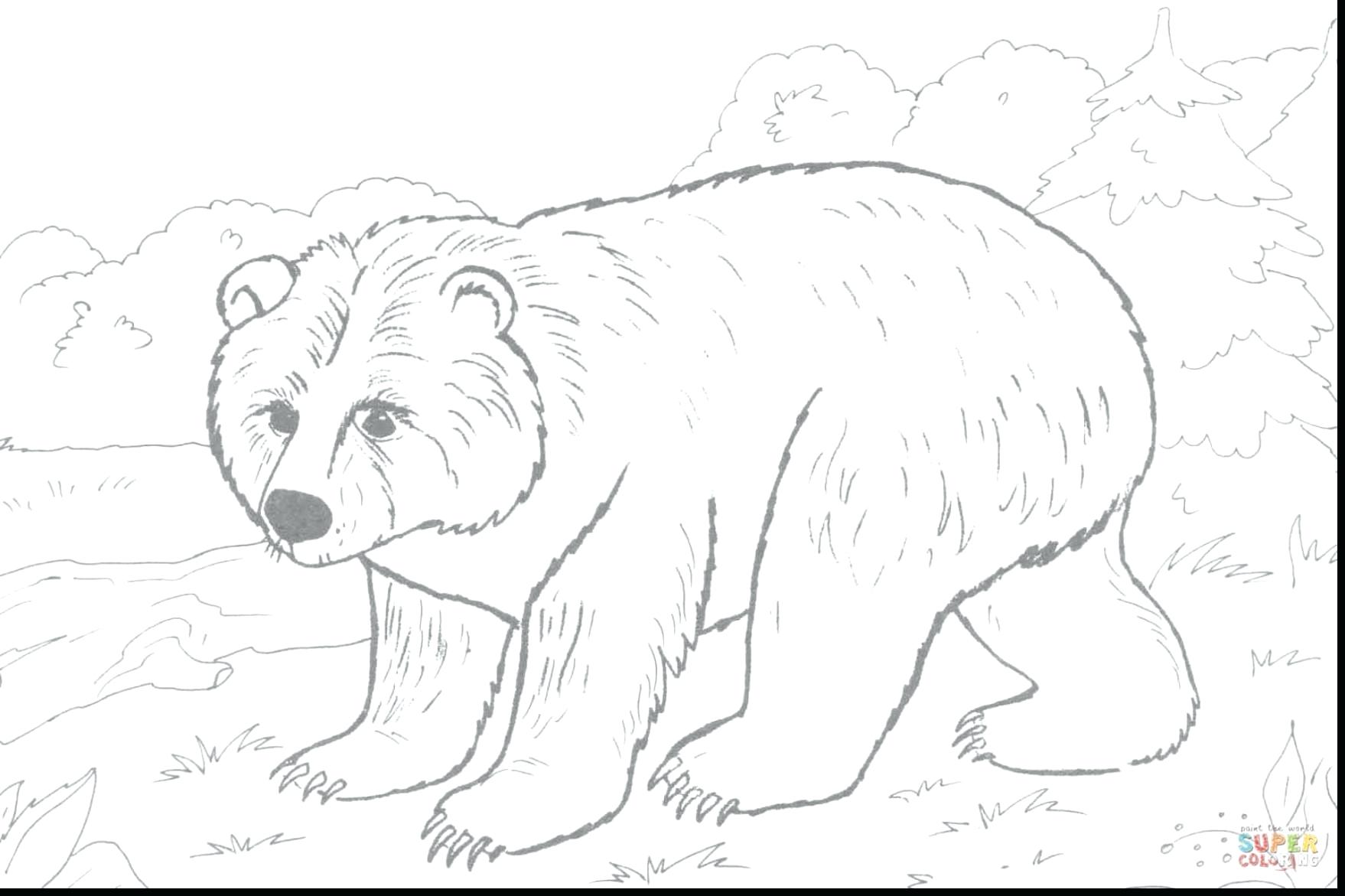 1758x1171 Young Brown Bear Coloring Page Pages