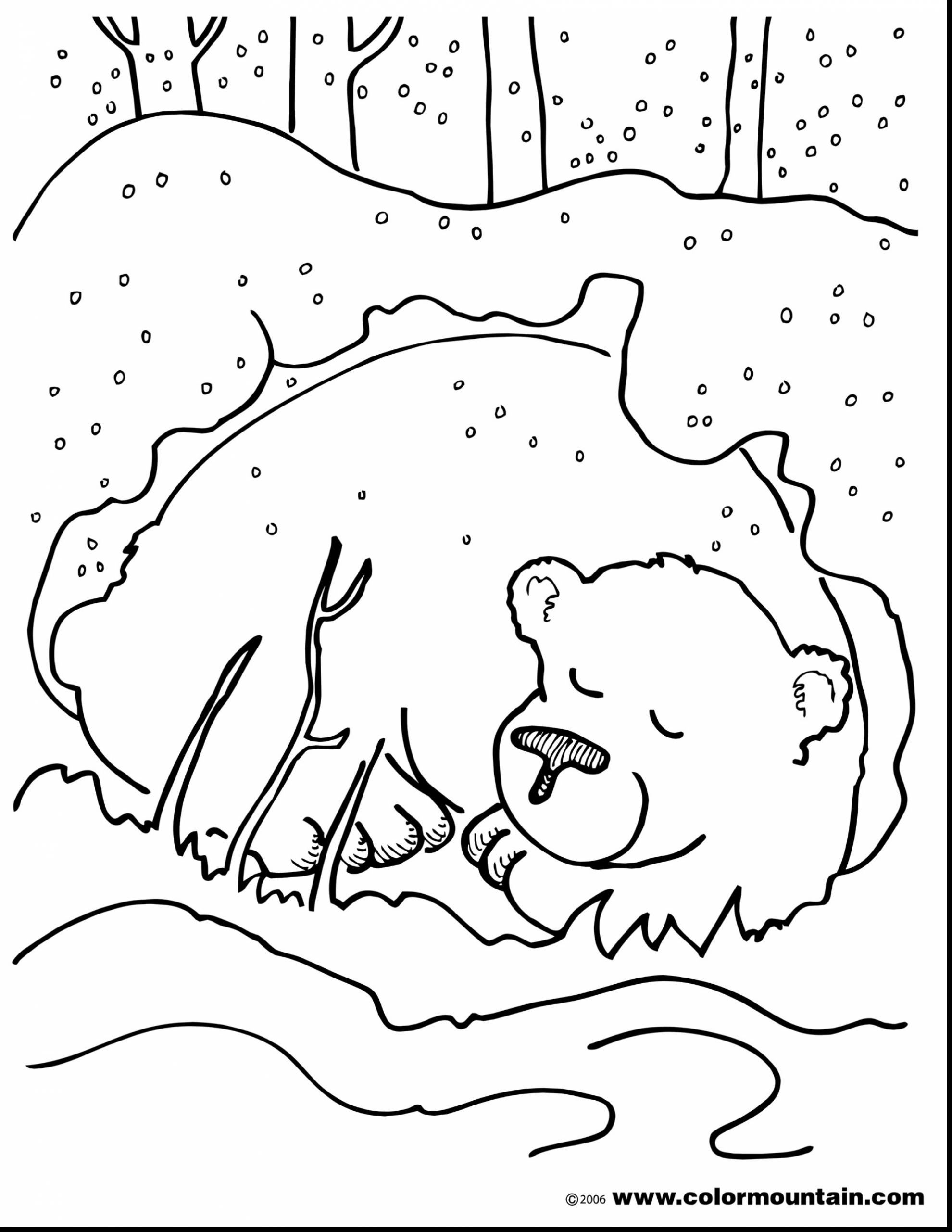 1980x2561 Brown Bear Brown Bear Coloring Pages
