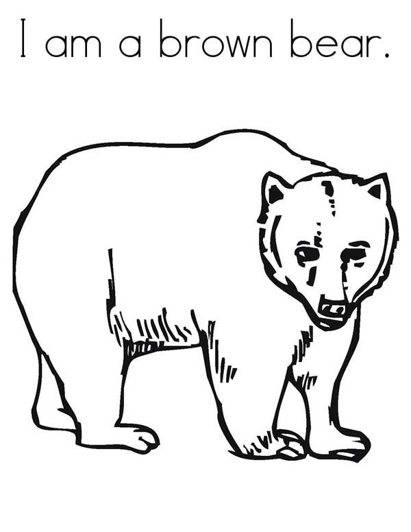 Brown Bear Coloring Page 600x776 Brown Bear Coloring Page