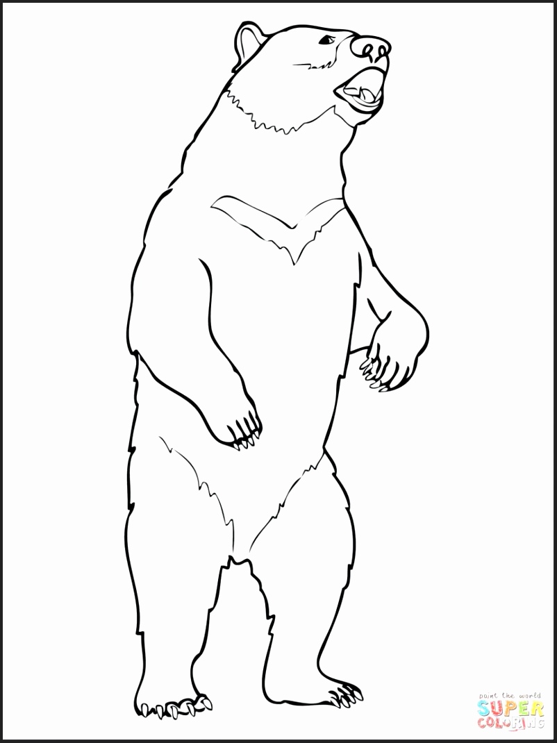 Moon Coloring Pages For Preschoolers Newcoloring123 802x1070 Moon Coloring Pages For Preschoolers Newcoloring123