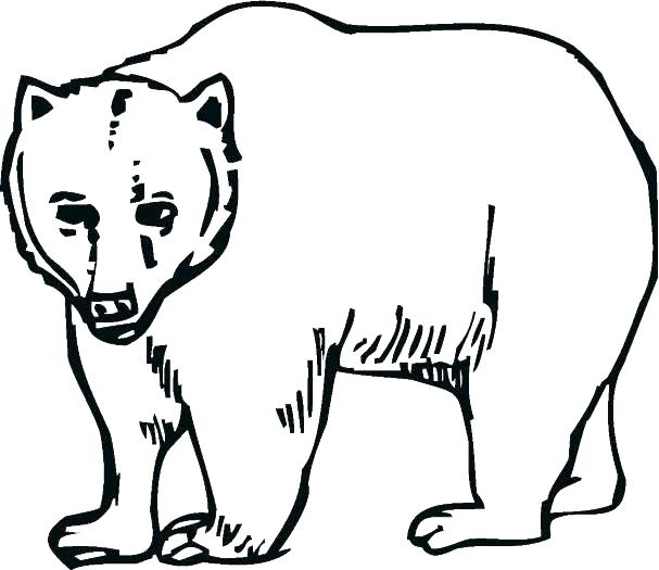 Louisiana Coloring Pages Black Bear Coloring Page Photo Gallery 607x525 Louisiana Coloring Pages Black Bear Coloring Page Photo Gallery