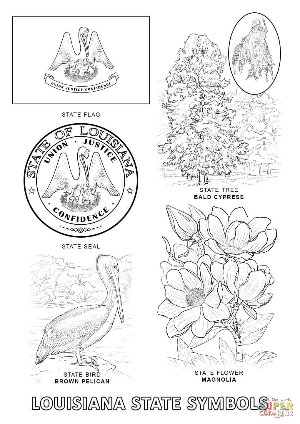 Louisiana State Symbols Coloring Pages 1020x1440 Louisiana State Symbols Coloring Pages