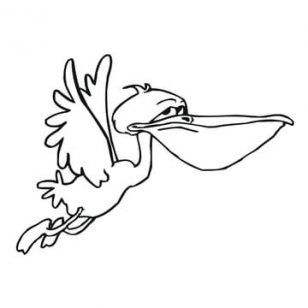 Pelican Animal Coloring Pages 308x308 Pelican Animal Coloring Pages