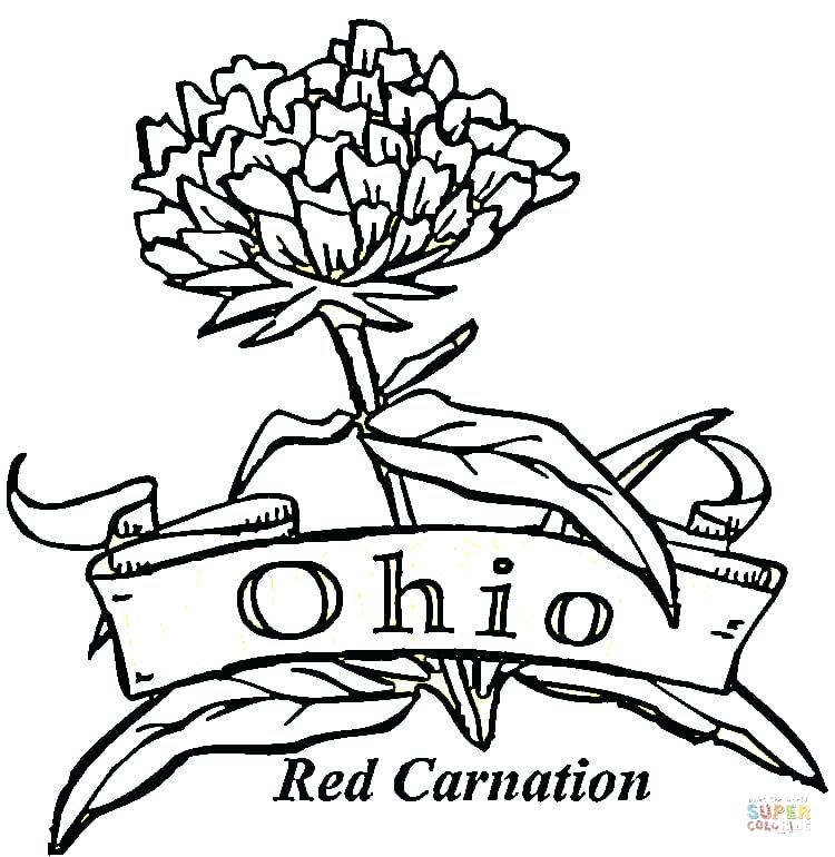 750x770 Ohio State Coloring Pages State Ohio State Brutus Coloring Pages