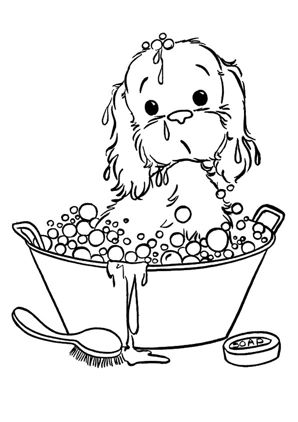 Puppy Taking In Bubble Bath With Cute Face 595x842 Puppy Taking In Bubble Bath With Cute Face