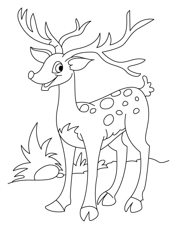 612x792 Happy Deer Coloring Page Download Free 8 Color Online 34600