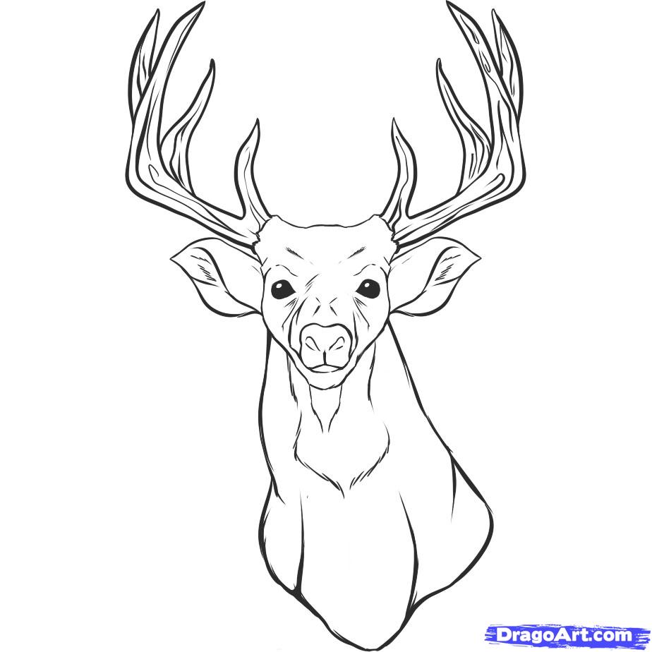 924x924 Drawn Buck Line Art Many Interesting Cliparts