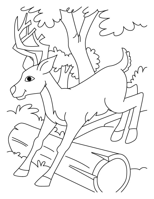 612x792 Top 91 Deer Coloring Pages