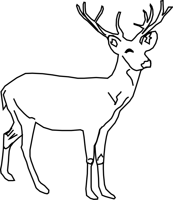 694x800 Buck Deer Coloring Pages