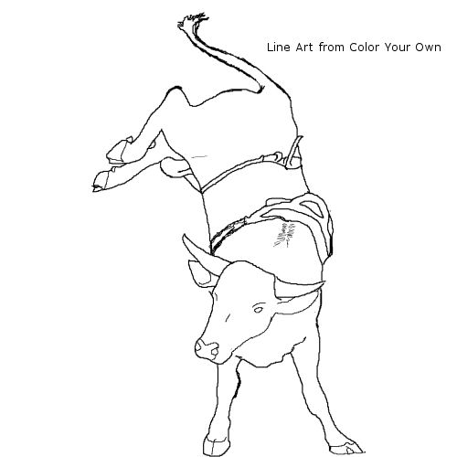 Bucking Bull Coloring Page Learning Support Resources 500x500 Bucking Bull Coloring Page Learning Support Resources