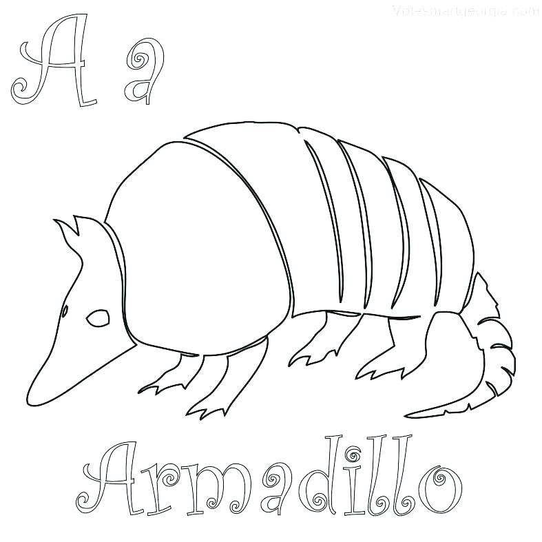 Rodeo Coloring Pages Armadillo Coloring Page Armadillo Coloring 787x787 Rodeo Coloring Pages Armadillo Coloring Page Armadillo Coloring