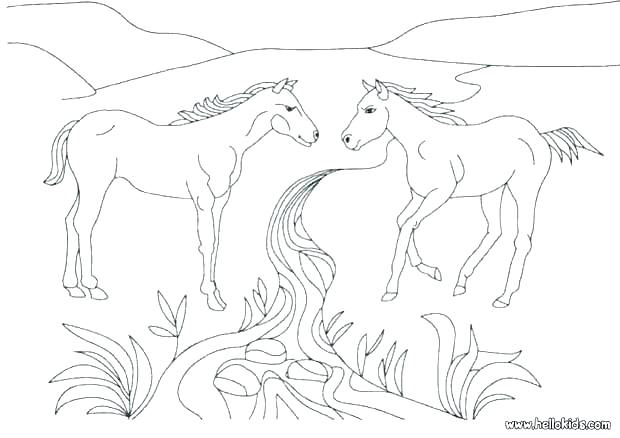 620x438 Free Printable Wild Horse Coloring Pages Free Printable Horse