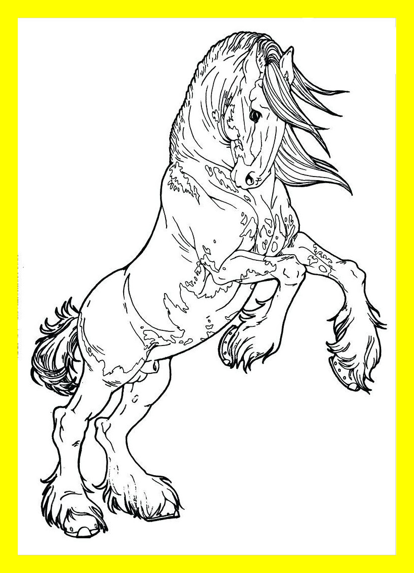 820x1136 Appealing Realistic Horse Drawing At Getdrawings For Personal Use