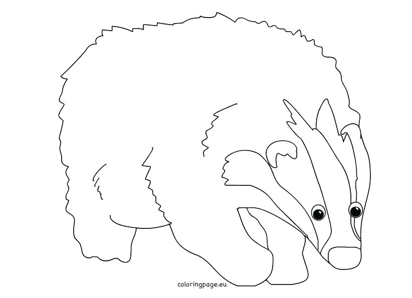 822x595 Badger Coloring Pages Badger Animal Coloring Pages Cartoon Animal