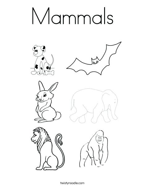 468x605 Badger Coloring Pages Cute Woodland Animals Cute Deer Badger Stock