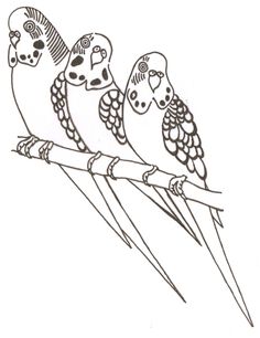 Parakeet Coloring Pages Parakeet Parakeets And Budgies 236x306 Parakeet Coloring Pages Parakeet Parakeets And Budgies