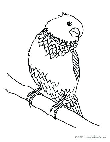 363x470 Bird Coloring Pages Plus Coloring Sheets 1 Baby Bird Colouring