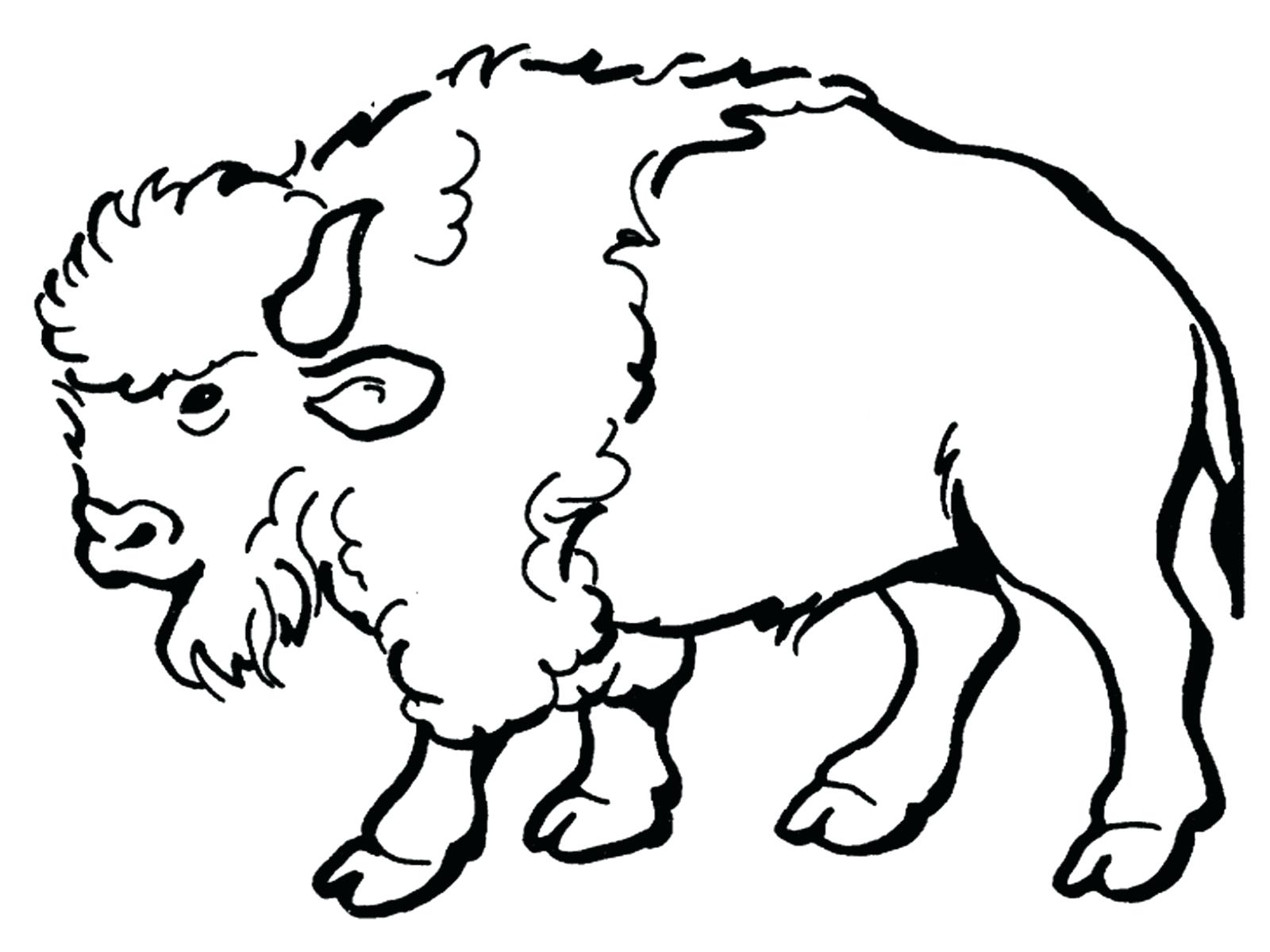 1600x1200 Buffalo 13 Coloring Page