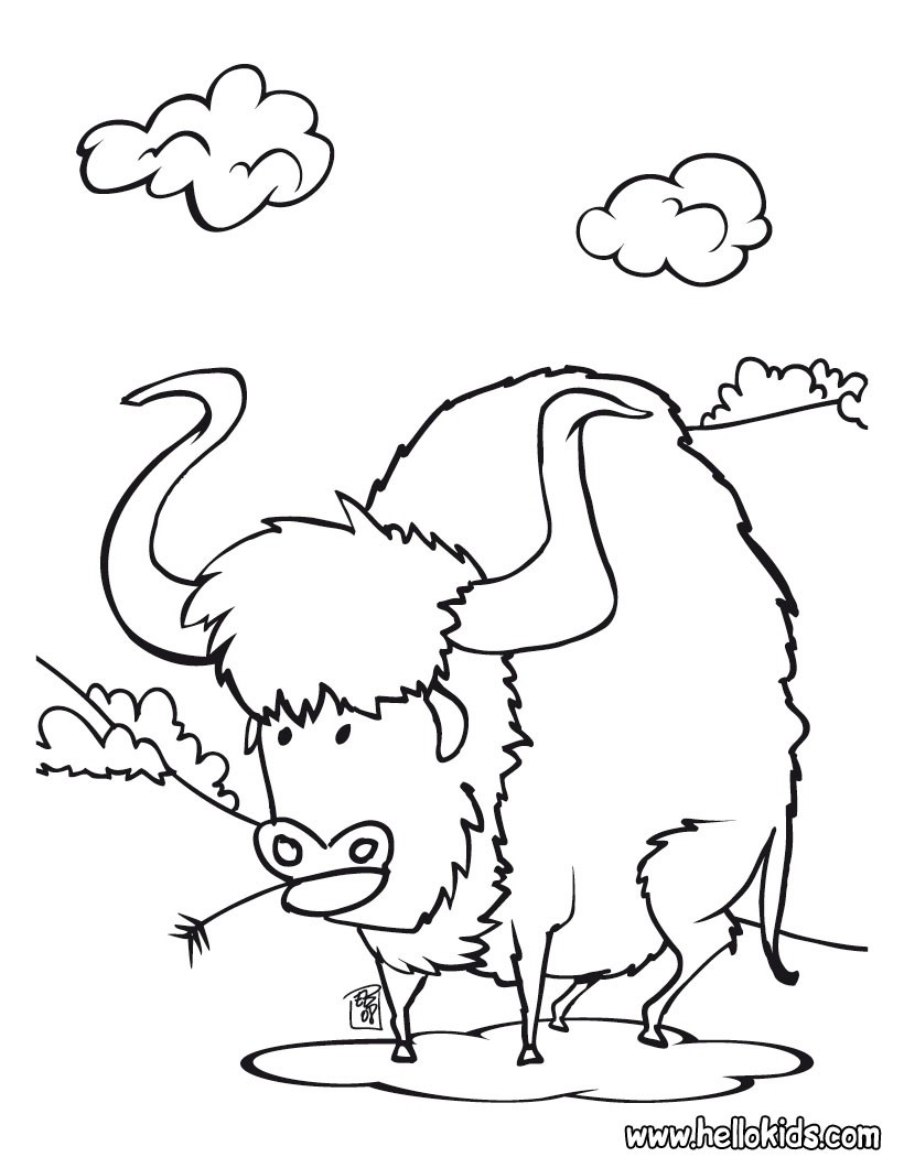 Buffalo Coloring Pages 820x1060 Buffalo Coloring Pages