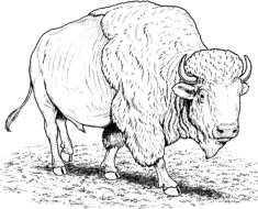 Tool Coloring Pages 235x190 Tool Coloring Pages