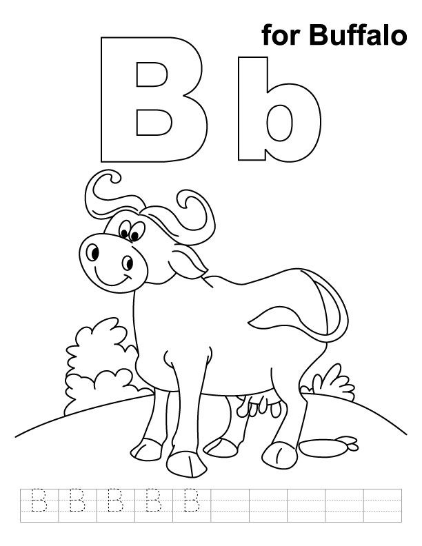 Buffalo Coloring Pages For Kids