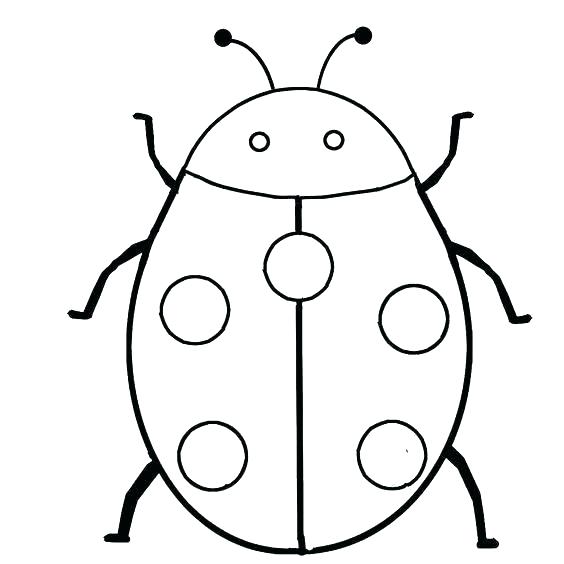 Drawn Bug Creepy Insect Pencil And In Color Drawn Bug Creepy 564x564 Drawn Bug Creepy Insect Pencil And In Color Drawn Bug Creepy