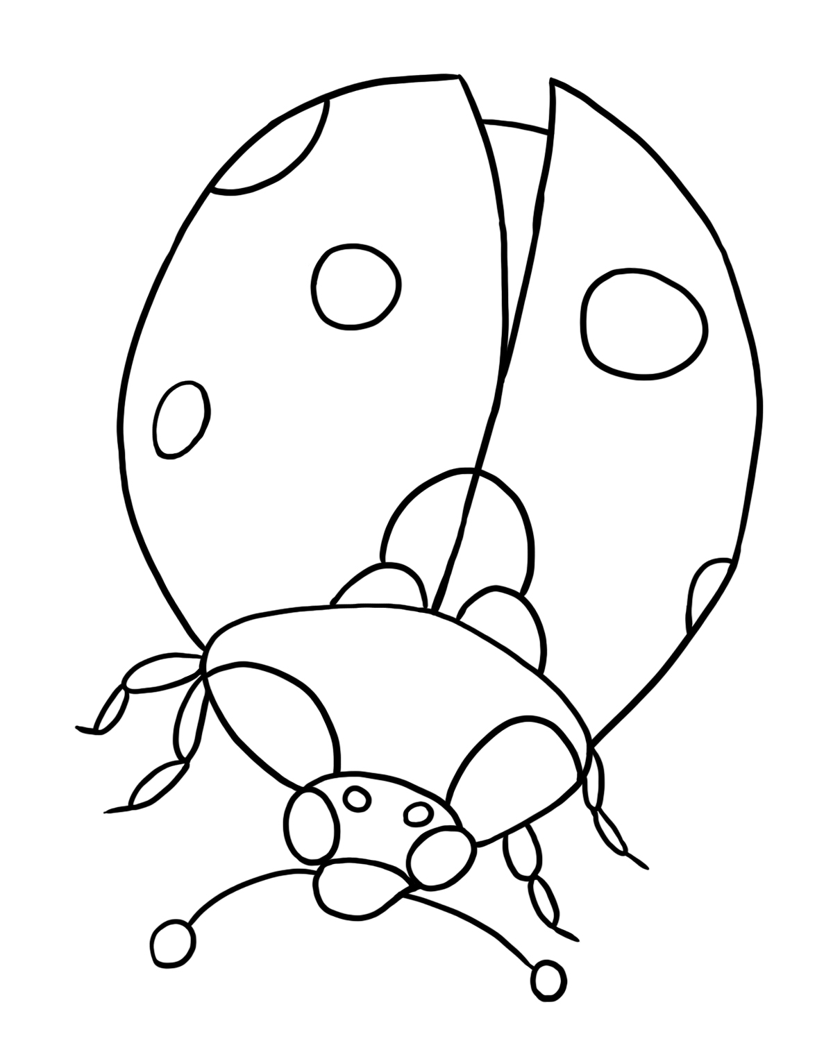 Free Printable Bug Coloring Pages For Kids 1200x1500 Free Printable Bug Coloring Pages For Kids