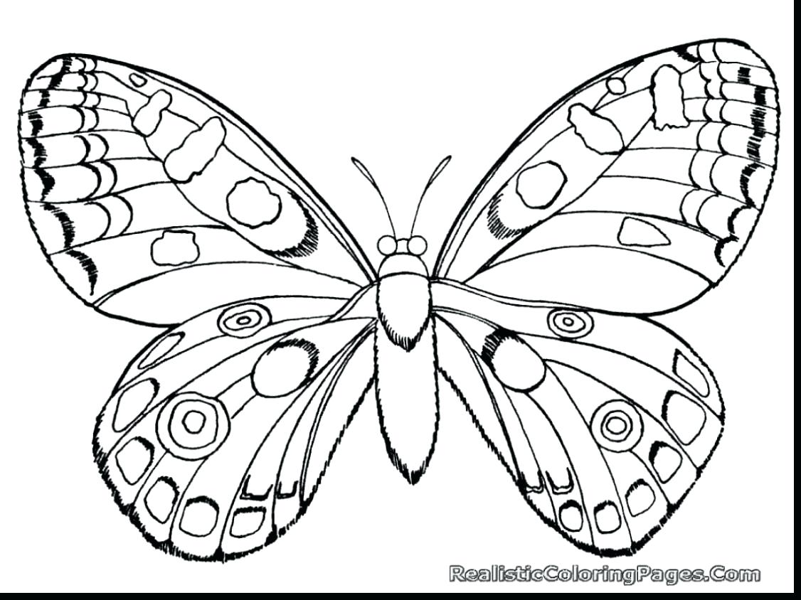 Free Printable Vw Bug Coloring Pages Insect For Kids New Cute 1126x844 Free Printable Vw Bug Coloring Pages Insect For Kids New Cute