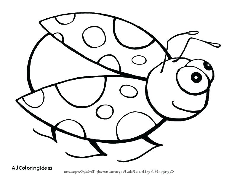 Lady Bug Coloring Pages Lady Bug Coloring Page Lovable Ladybug 800x618 Lady Bug Coloring Pages Lady Bug Coloring Page Lovable Ladybug