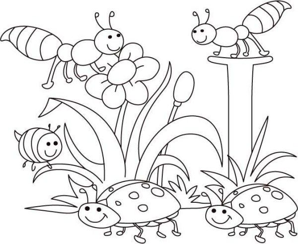 Spring Bugs Coloring Pages Activities For Classroom 600x491 Spring Bugs Coloring Pages Activities For Classroom