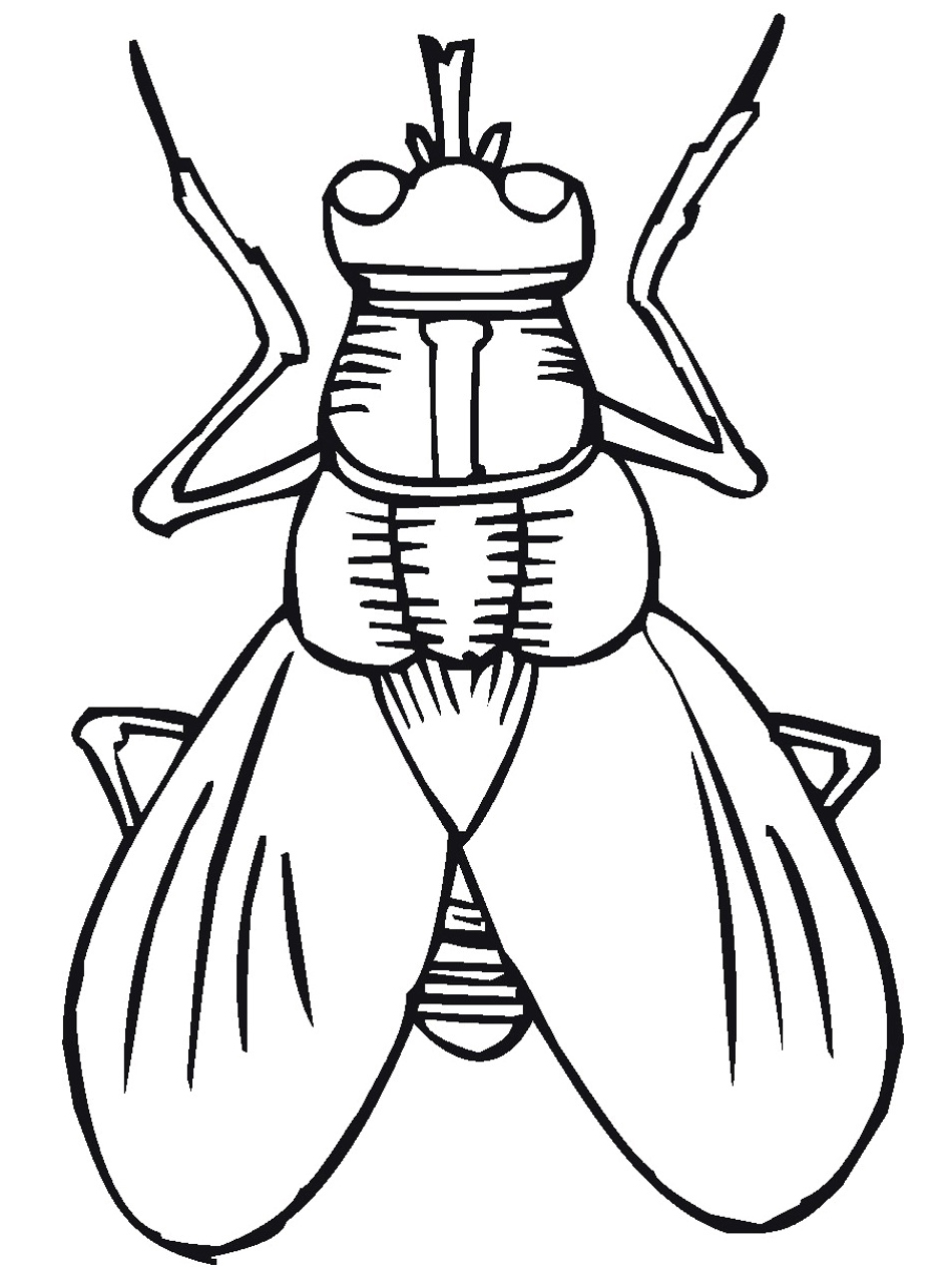 Printble Bug Colouring Pages For Kids 950x1266 Printble Bug Colouring Pages For Kids