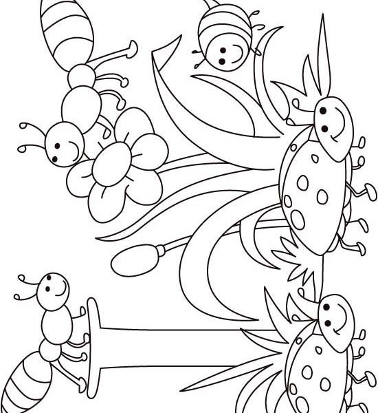 Birds And Insects Coloring Pages Bug Coloring Pages For Preschool 550x600 Birds And Insects Coloring Pages Bug Coloring Pages For Preschool