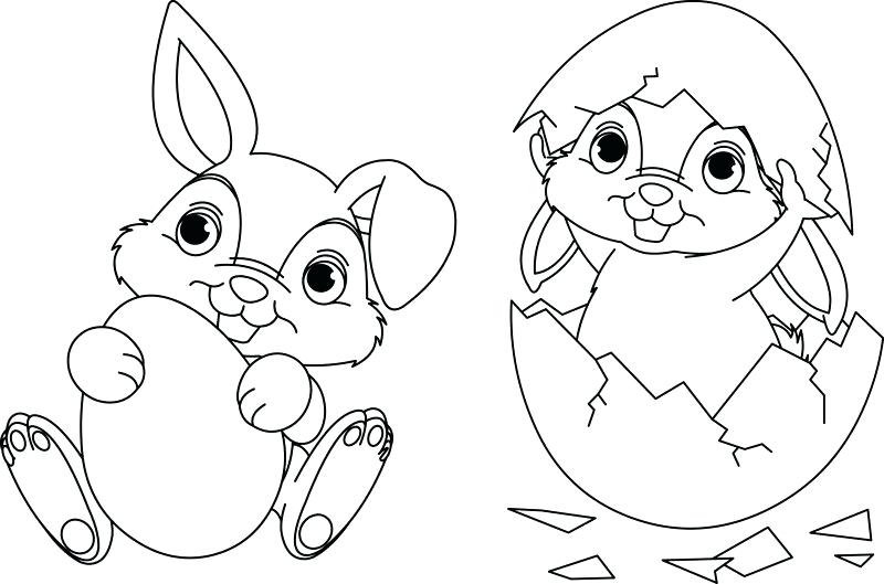 800x529 Bunny Color Page Coloring Pages Of Cute Baby Bunnies Stock Baby