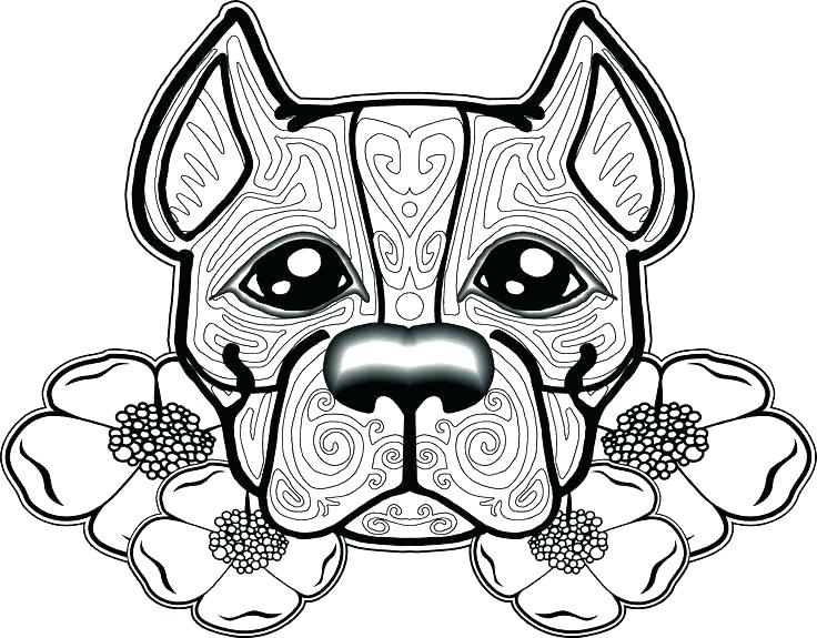 736x575 Bull Coloring Page Coloring Pages Pin Pit Bull Coloring Page 9