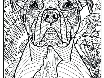Bull Coloring Pages at GetColorings.com | Free printable colorings ...