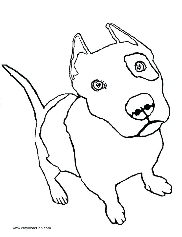 736x959 Pitbull Coloring Page Drawn Pit Bull Coloring Page 9 Pitbull Puppy