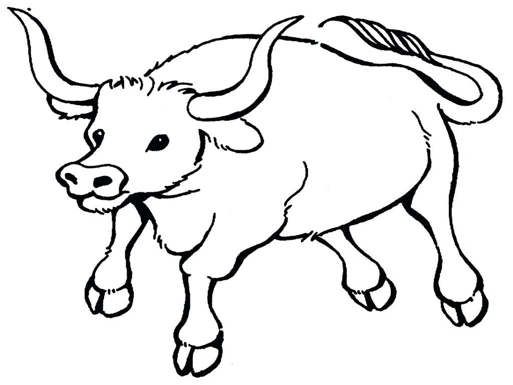 1024x768 Coloring Page ~ Chicago Bulls Coloring Pages Bull Printable
