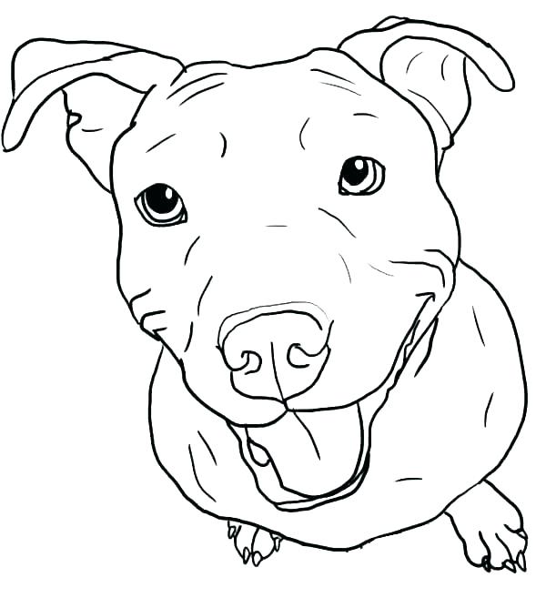 600x668 French Bulldog Coloring Pages Shippa.co