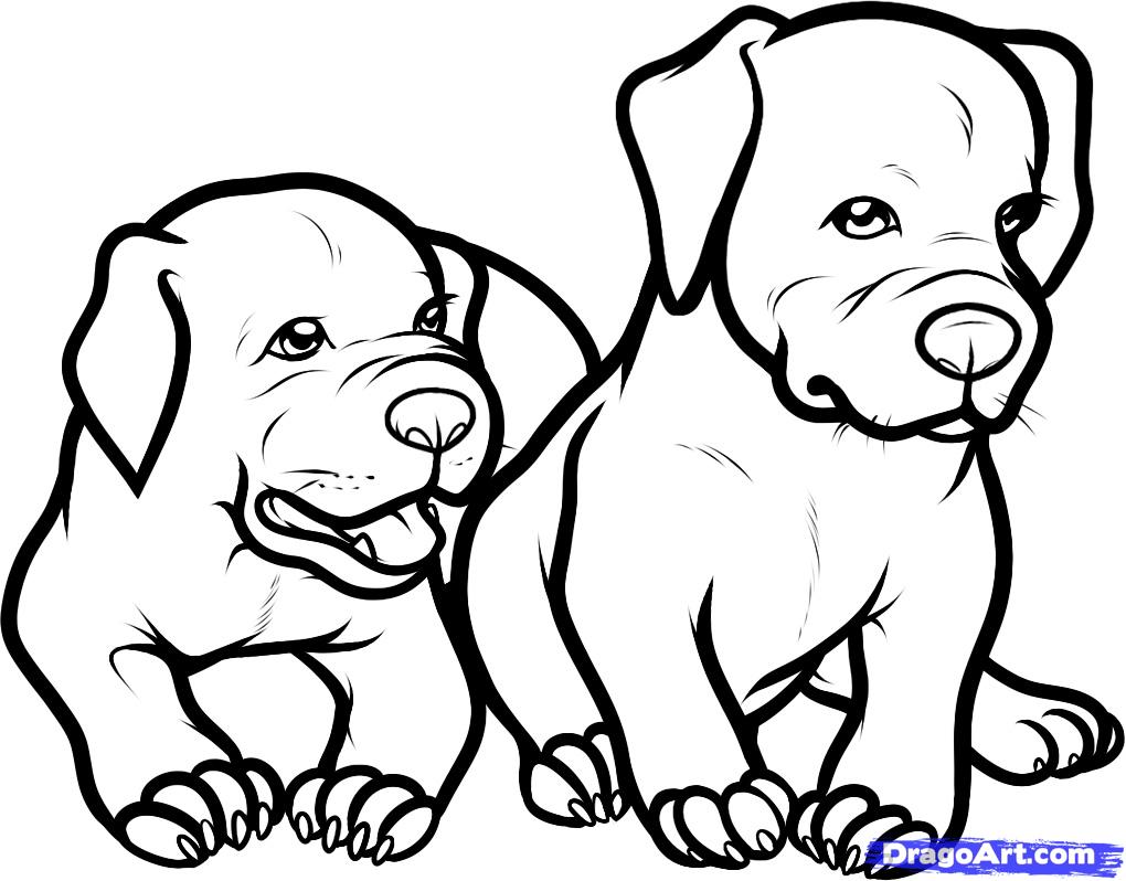 Drawn Bull Coloring Page Pencil And In Color How To Draw Pages 1020x798 Drawn Bull Coloring Page Pencil And In Color How To Draw Pages