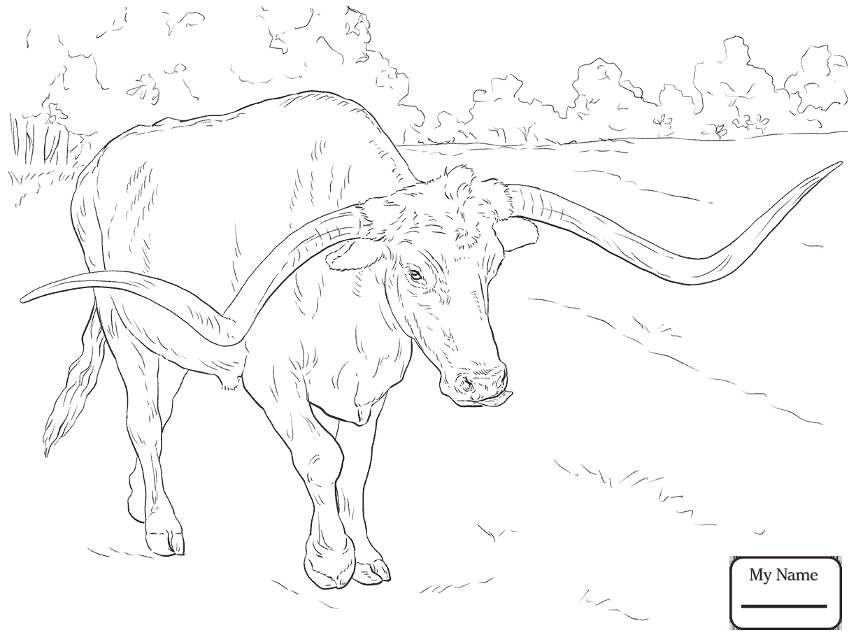 Bucking Bull Coloring Pages 1224x918 Bucking Bull Coloring Pages