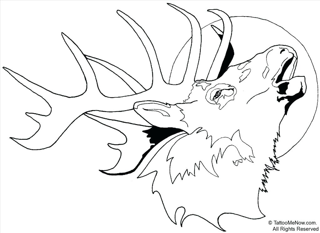 1023x747 Elk Coloring Page Best Elk Coloring Page Photo Elk Coloring Pages