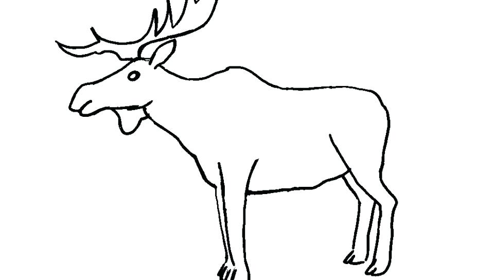 Bull Elk Coloring Pages at GetColorings.com | Free printable colorings ...