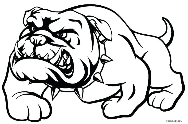 800x530 Bulldog Coloring Page Bull Coloring Page Bull Elk Coloring Pages
